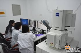 suncitygroup太阳集团官网