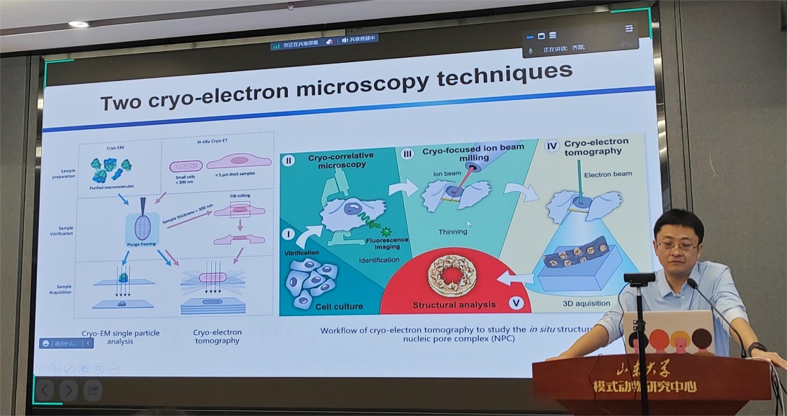 suncitygroup太阳集团官网