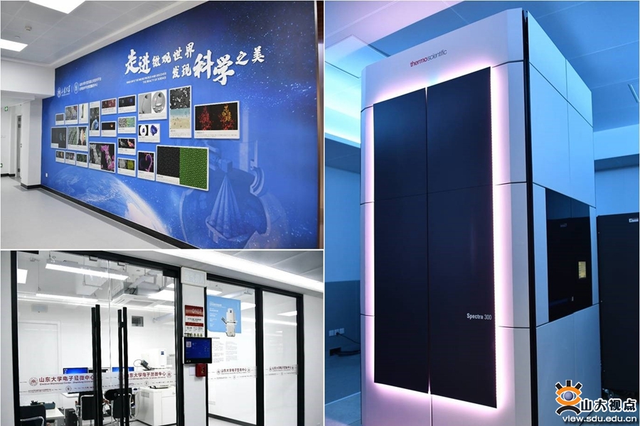 1638349838260011095.jpg 4.jpg